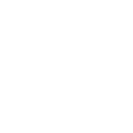 Logo VS Car